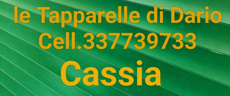 Le Tapparelle di Dario cell 337739733 Cassia